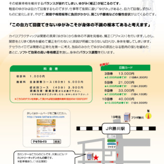 テセラカイロ勝川 さま　チラシ