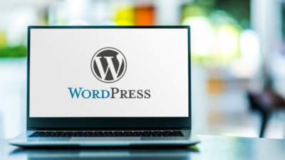 WordPressをバージョンアップしたらwp_list_categoriesが出力されない　出ない！？